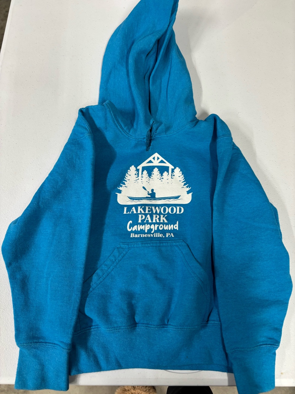 Gildan Teal Kids Hoodie with White Lakewood Park Campground Graphic